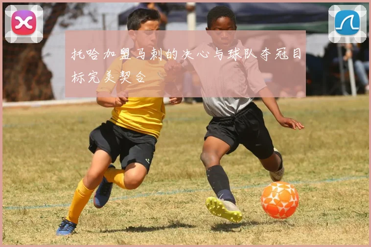 托哈加盟马刺的决心与球队夺冠目标完美契合