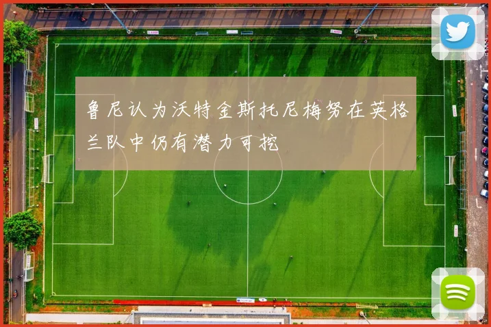 鲁尼认为沃特金斯托尼梅努在英格兰队中仍有潜力可挖