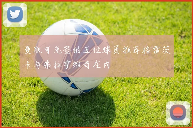 曼联可免签的五位球员推荐格雷茨卡与弗拉霍维奇在内